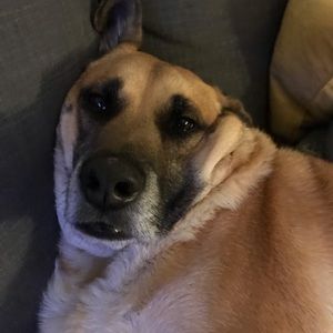 Meet your Posher, Jackson